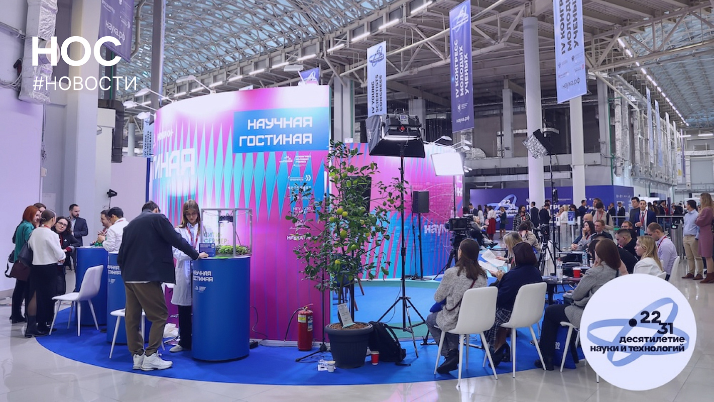 Описание изображения