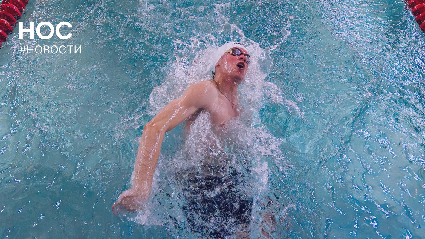 Описание изображения