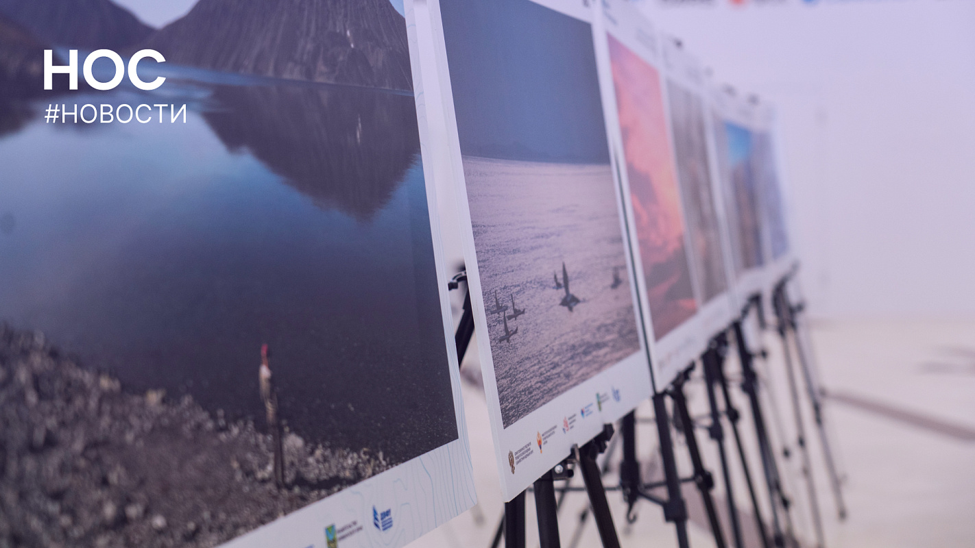 Описание изображения