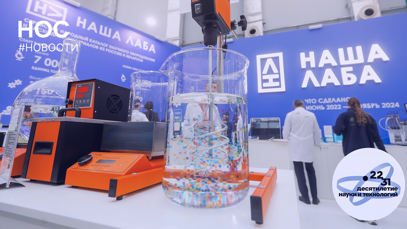 Описание изображения